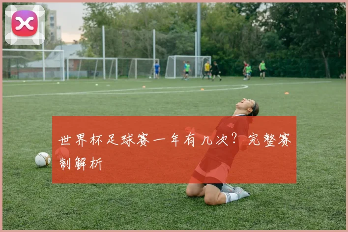 世界杯足球赛一年有几次？完整赛制解析
