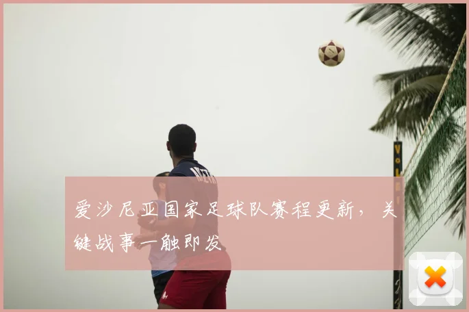 爱沙尼亚国家足球队赛程更新,关键战事一触即发