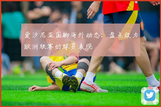 爱沙尼亚国脚海外动态:盘点效力欧洲联赛的球员表现